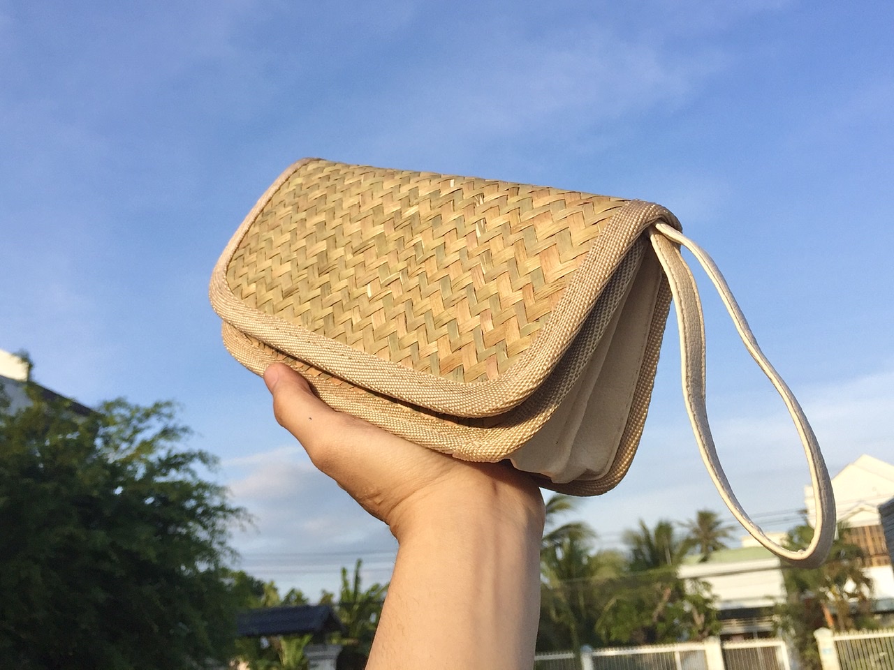 Giới thiệu ví bàng cầm tay